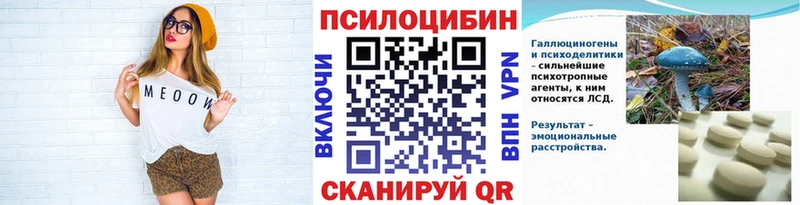 Псилоцибиновые грибы Cubensis цена Южно-Сухокумск